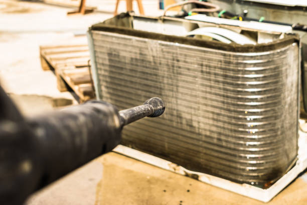 Best Air Duct Mold Removal  in Kaunakakai, HI