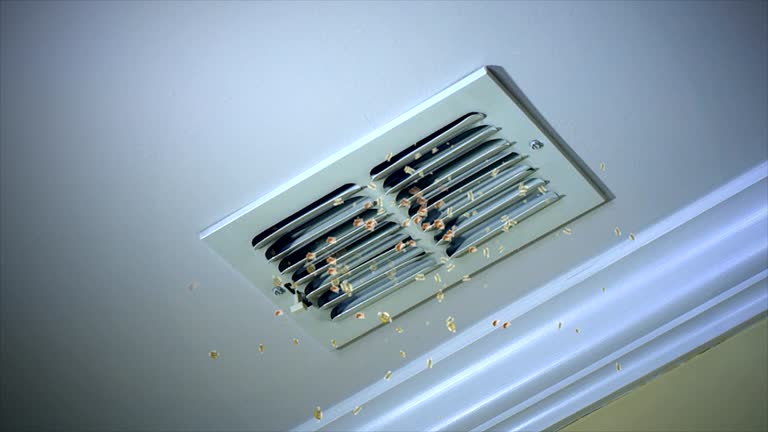 Best Ductwork Cleaning Services  in Kaunakakai, HI
