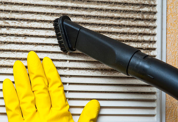 Best Dryer Vent Cleaning Services  in Kaunakakai, HI